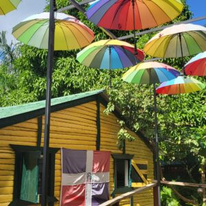 Concept Tours aventures et Monkeyland