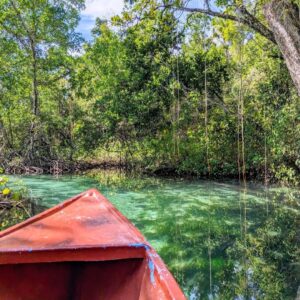 Holaqueya Parc national los Haitises
