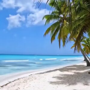 Tropical Paradise excursion ile de Saona VIP