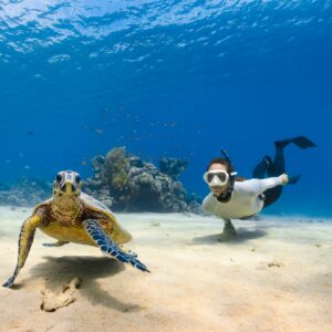 a sea turtle and person swimming next to each other
