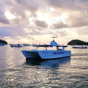 Tropical Evasion ile de Saona speedboat
