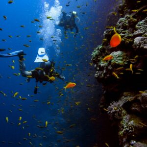 man in black wet suit diving on water with school of fish