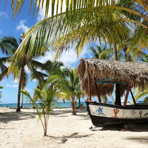 a boat on a beach with palm trees