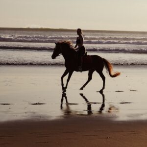 Person riding a horse on a wet beach at sunset.