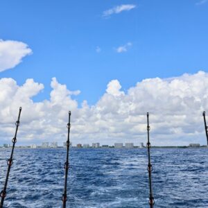 Four fishing rods on a boat with city skyline