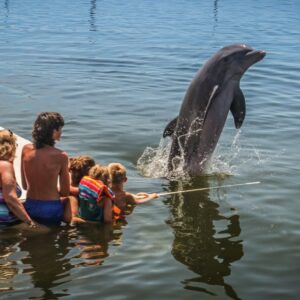 a group of children watching a dolphin jump out of the water