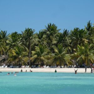 a beach with people and palm trees