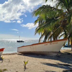 a couple of boats sitting on top of a sandy beach