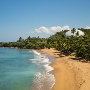 a sandy beach next to the ocean with palm trees