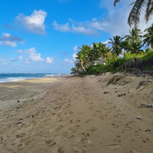 Guide Touristique Thibault Dupuy