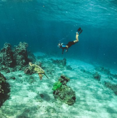 man in blue shorts diving on water